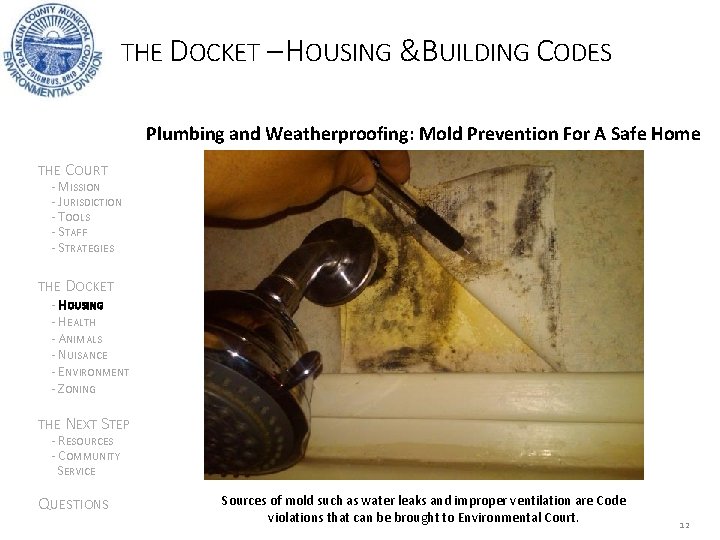 THE DOCKET – HOUSING &BUILDING CODES Plumbing and Weatherproofing: Mold Prevention For A Safe