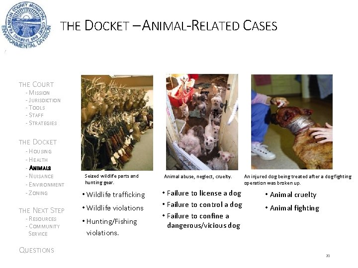 THE DOCKET – ANIMAL-RELATED CASES THE COURT - MISSION - JURISDICTION - TOOLS -