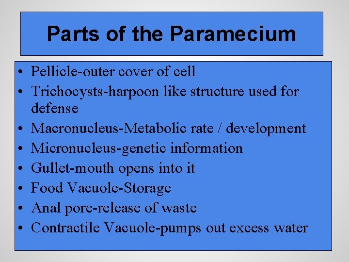 Parts of the Paramecium • Pellicle-outer cover of cell • Trichocysts-harpoon like structure used