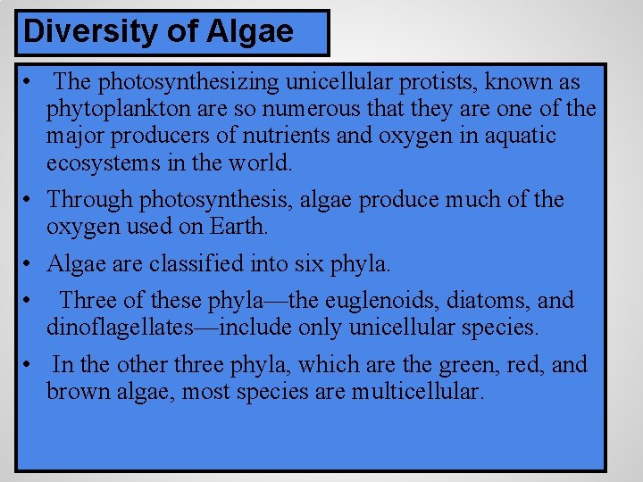 Diversity of Algae • The photosynthesizing unicellular protists, known as phytoplankton are so numerous