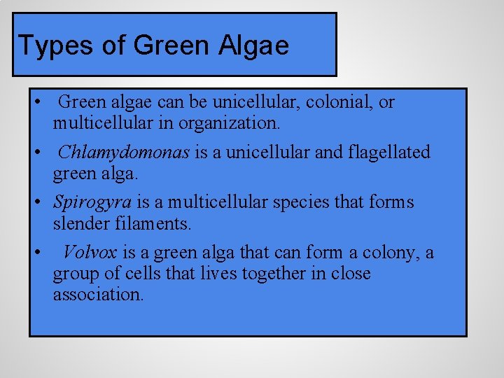 Types of Green Algae • Green algae can be unicellular, colonial, or multicellular in