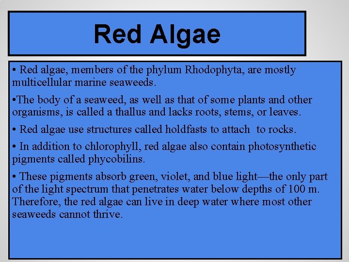 Red Algae • Red algae, members of the phylum Rhodophyta, are mostly multicellular marine