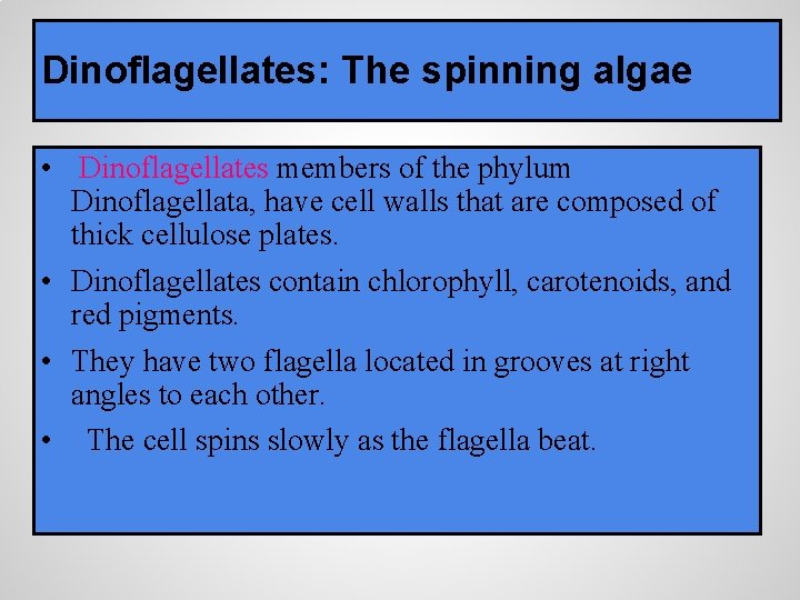 Dinoflagellates: The spinning algae • Dinoflagellates members of the phylum Dinoflagellata, have cell walls