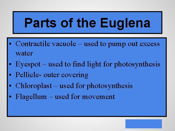 Parts of the Euglena • Contractile vacuole – used to pump out excess water