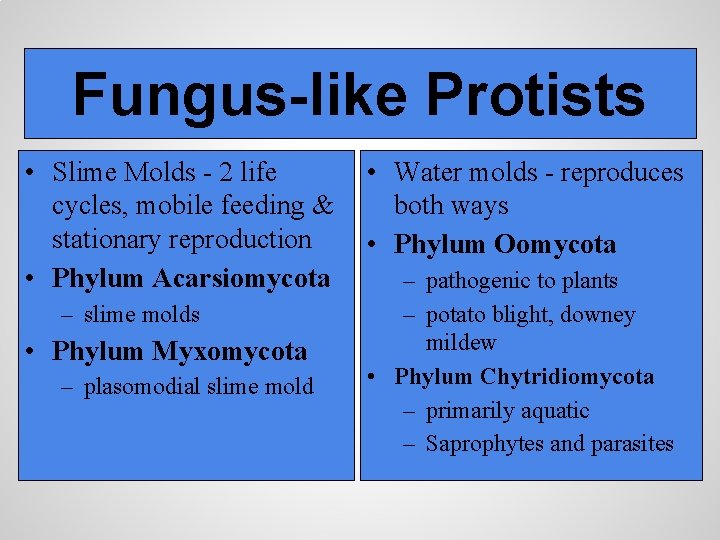 Fungus-like Protists • Slime Molds - 2 life cycles, mobile feeding & stationary reproduction