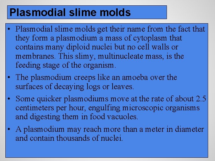 Plasmodial slime molds • Plasmodial slime molds get their name from the fact that