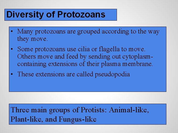 Diversity of Protozoans • Many protozoans are grouped according to the way they move.