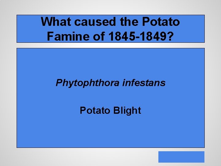 What caused the Potato Famine of 1845 -1849? Phytophthora infestans Potato Blight 