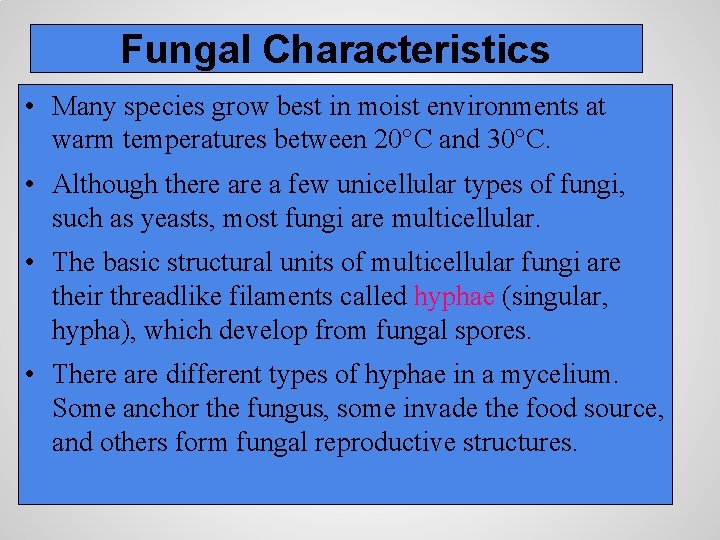 Fungal Characteristics • Many species grow best in moist environments at warm temperatures between