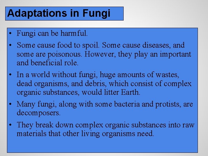 Adaptations in Fungi • Fungi can be harmful. • Some cause food to spoil.