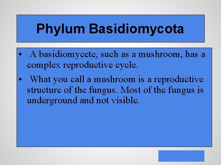 Phylum Basidiomycota • A basidiomycete, such as a mushroom, has a complex reproductive cycle.