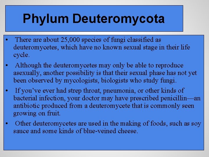 Phylum Deuteromycota • There about 25, 000 species of fungi classified as deuteromycetes, which