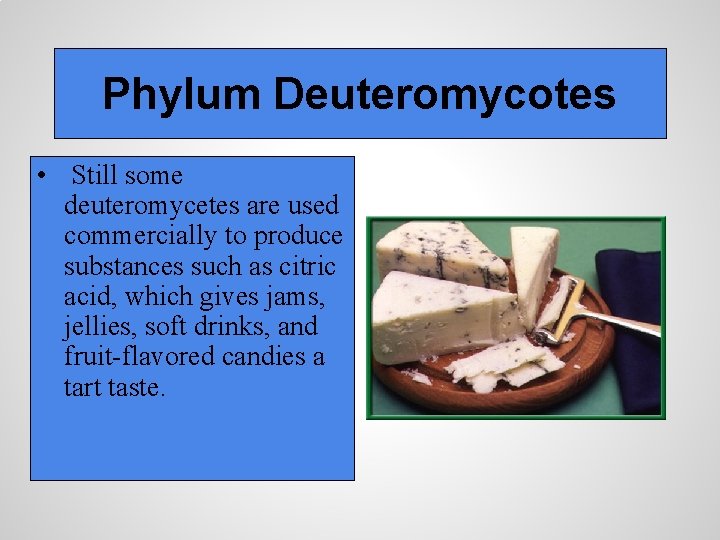 Phylum Deuteromycotes • Still some deuteromycetes are used commercially to produce substances such as