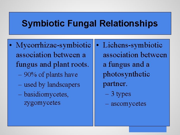 Symbiotic Fungal Relationships • Mycorrhizae-symbiotic • Lichens-symbiotic association between a association between fungus and