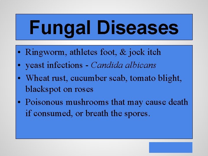 Fungal Diseases • Ringworm, athletes foot, & jock itch • yeast infections - Candida