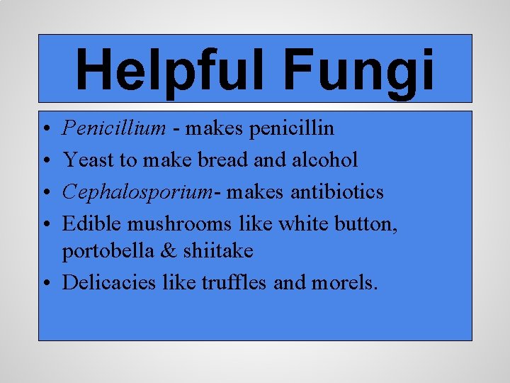 Helpful Fungi • • Penicillium - makes penicillin Yeast to make bread and alcohol