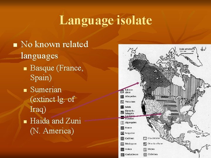 Language isolate n No known related languages n n n Basque (France, Spain) Sumerian