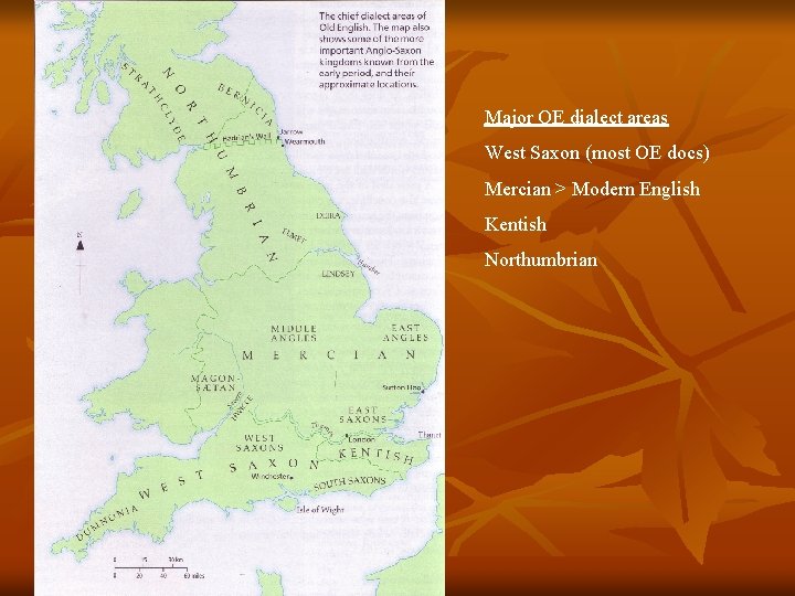Major OE dialect areas West Saxon (most OE docs) Mercian > Modern English Kentish