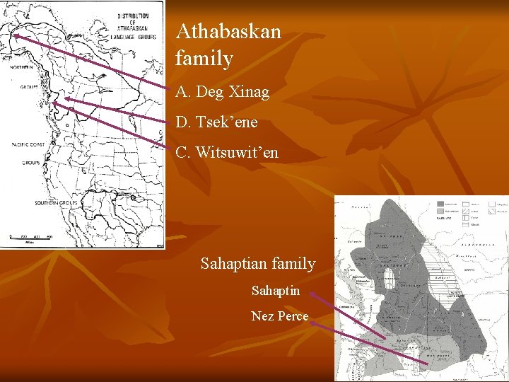 Athabaskan family A. Deg Xinag D. Tsek’ene C. Witsuwit’en Sahaptian family Sahaptin Nez Perce