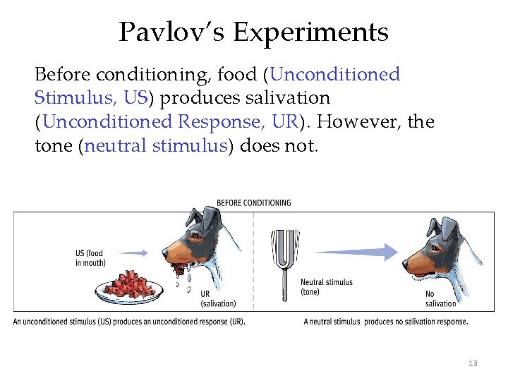 Pavlov’s Experiments Before conditioning, food (Unconditioned Stimulus, US) produces salivation (Unconditioned Response, UR). However,