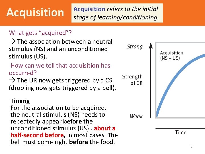 Acquisition refers to the initial stage of learning/conditioning. What gets “acquired”? The association between