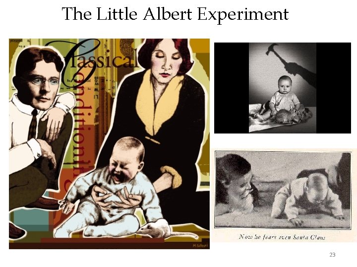 The Little Albert Experiment 23 
