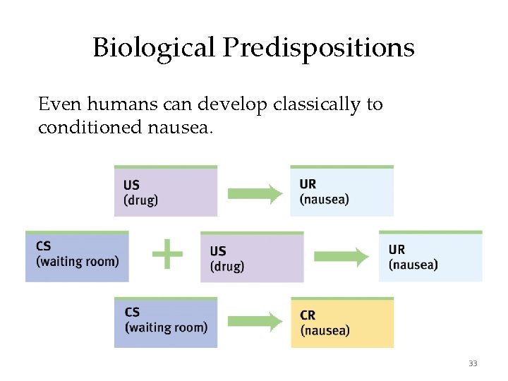 Biological Predispositions Even humans can develop classically to conditioned nausea. 33 