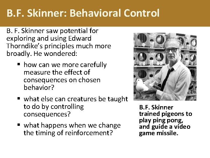 B. F. Skinner: Behavioral Control B. F. Skinner saw potential for exploring and using