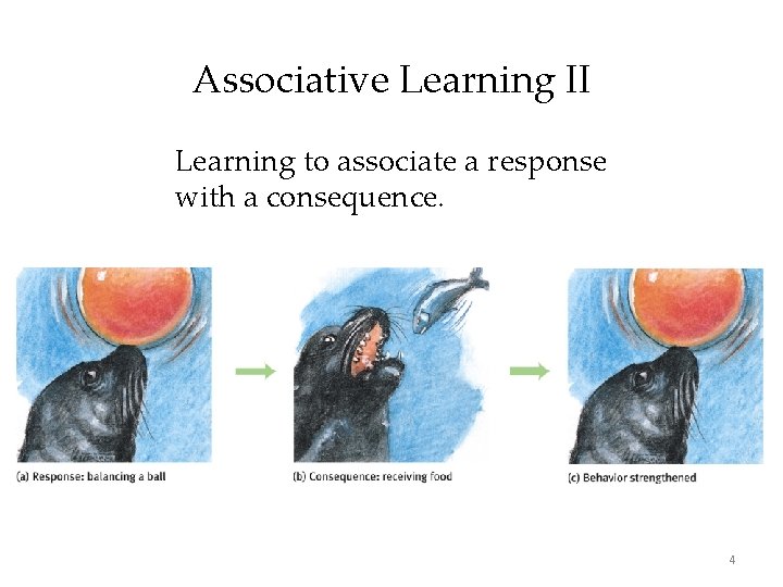 Associative Learning II Learning to associate a response with a consequence. 4 