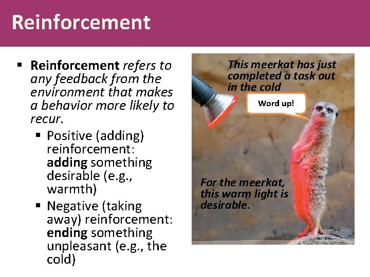 Reinforcement § Reinforcement refers to any feedback from the environment that makes a behavior