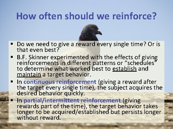 How often should we reinforce? § Do we need to give a reward every