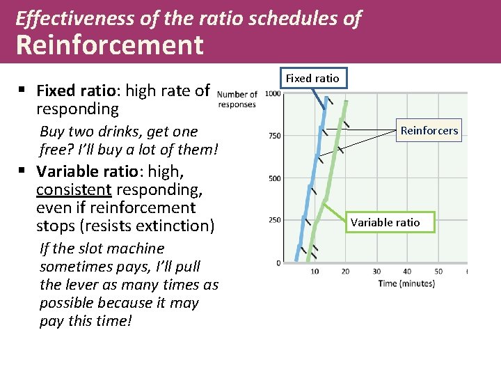 Effectiveness of the ratio schedules of Reinforcement § Fixed ratio: high rate of responding