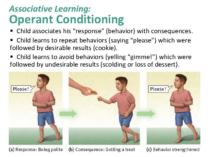 Associative Learning: Operant Conditioning § Child associates his “response” (behavior) with consequences. § Child