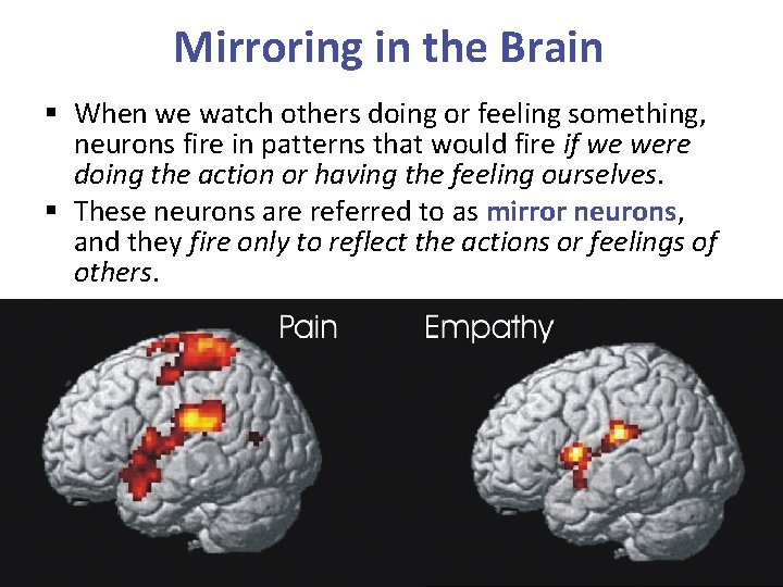 Mirroring in the Brain § When we watch others doing or feeling something, neurons