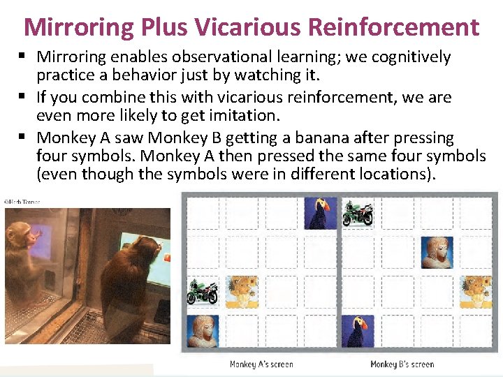 Mirroring Plus Vicarious Reinforcement § Mirroring enables observational learning; we cognitively practice a behavior