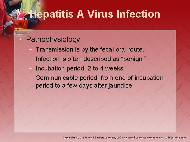 Hepatitis A Virus Infection • Pathophysiology − − Transmission is by the fecal-oral route.