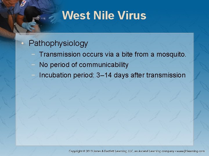 West Nile Virus • Pathophysiology − Transmission occurs via a bite from a mosquito.