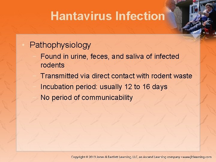 Hantavirus Infection • Pathophysiology − Found in urine, feces, and saliva of infected rodents