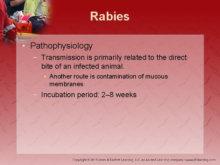 Rabies • Pathophysiology − Transmission is primarily related to the direct bite of an