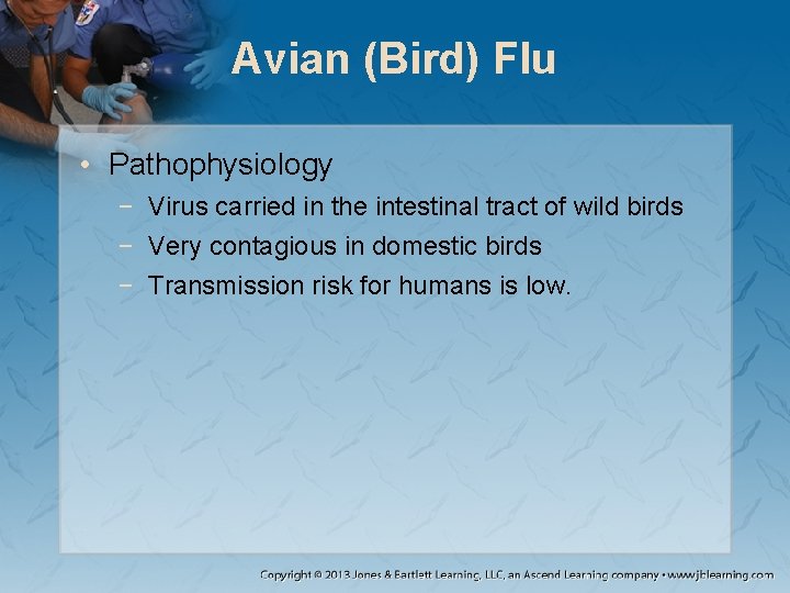 Avian (Bird) Flu • Pathophysiology − Virus carried in the intestinal tract of wild