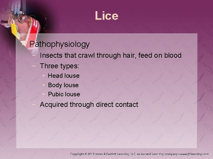 Lice • Pathophysiology − Insects that crawl through hair, feed on blood − Three