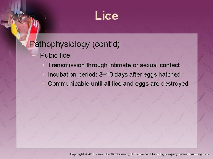 Lice • Pathophysiology (cont’d) − Pubic lice • Transmission through intimate or sexual contact