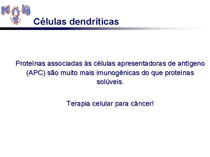 Células dendríticas Proteínas associadas às células apresentadoras de antígeno (APC) são muito mais imunogênicas