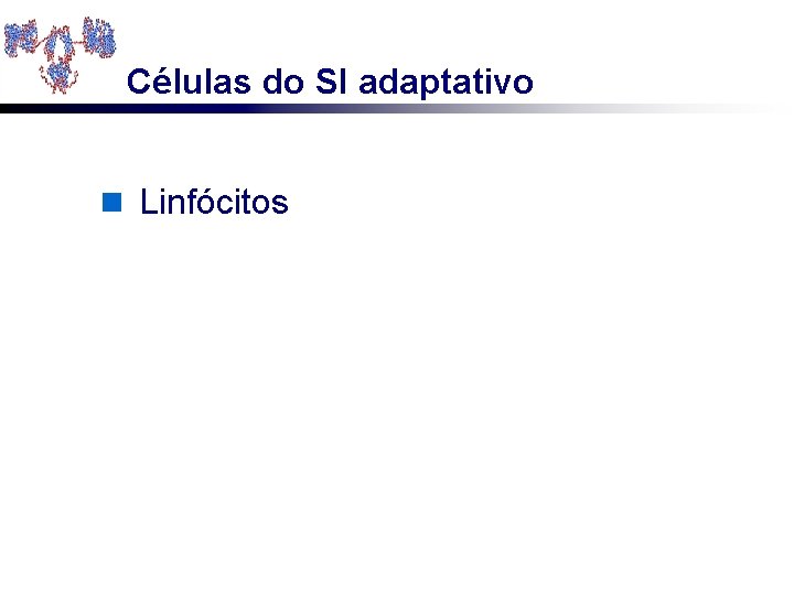 Células do SI adaptativo n Linfócitos 