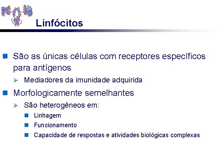 Linfócitos n São as únicas células com receptores específicos para antígenos Ø Mediadores da