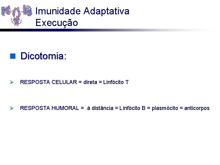 Imunidade Adaptativa Execução n Dicotomia: Ø RESPOSTA CELULAR = direta = Linfócito T Ø