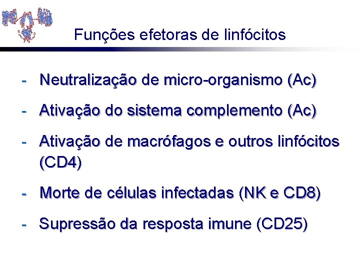 Funções efetoras de linfócitos - Neutralização de micro-organismo (Ac) - Ativação do sistema complemento