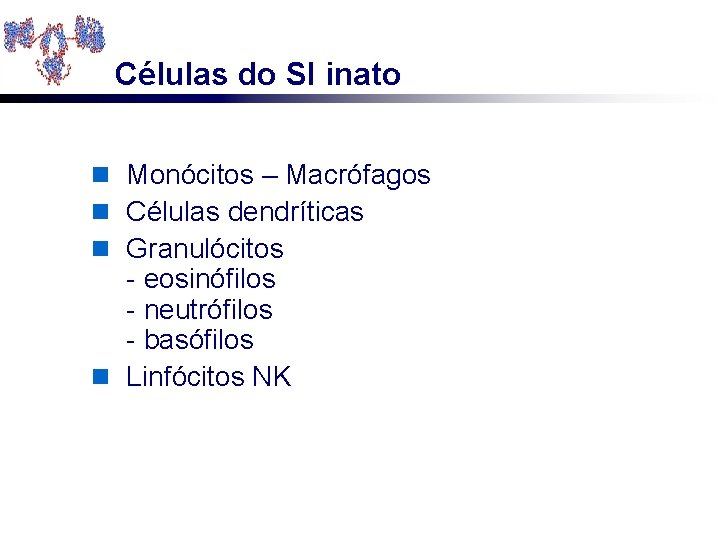 Células do SI inato n Monócitos – Macrófagos n Células dendríticas n Granulócitos -