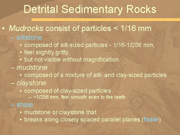 Detrital Sedimentary Rocks • Mudrocks consist of particles < 1/16 mm – siltstone •