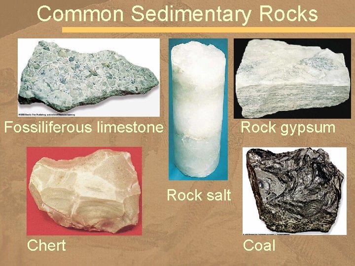 Common Sedimentary Rocks Fossiliferous limestone Rock gypsum Rock salt Chert Coal 